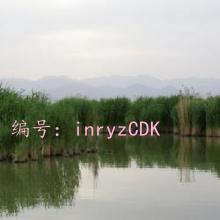 ϸ΢