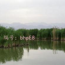 ϸ΢