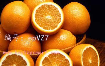 ṹ