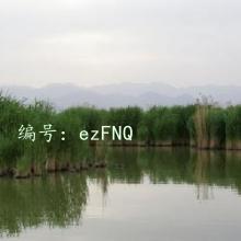ϸ΢