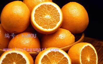 Ŀ
