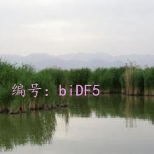 ϸ΢