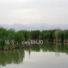 ǰ