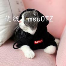 벻