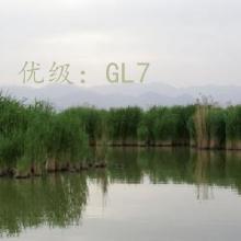 ǰ