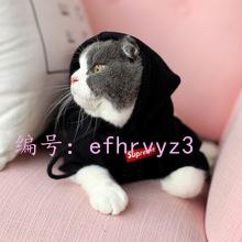 벻