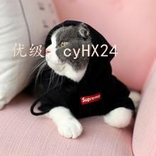 벻