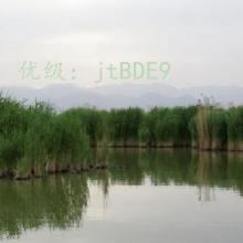 ϸ΢