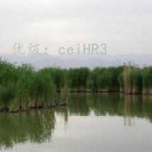 ǰ