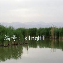 ϸ΢