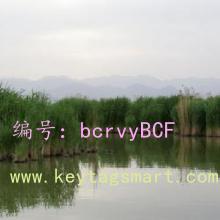 ļ