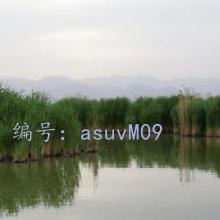 ǰ
